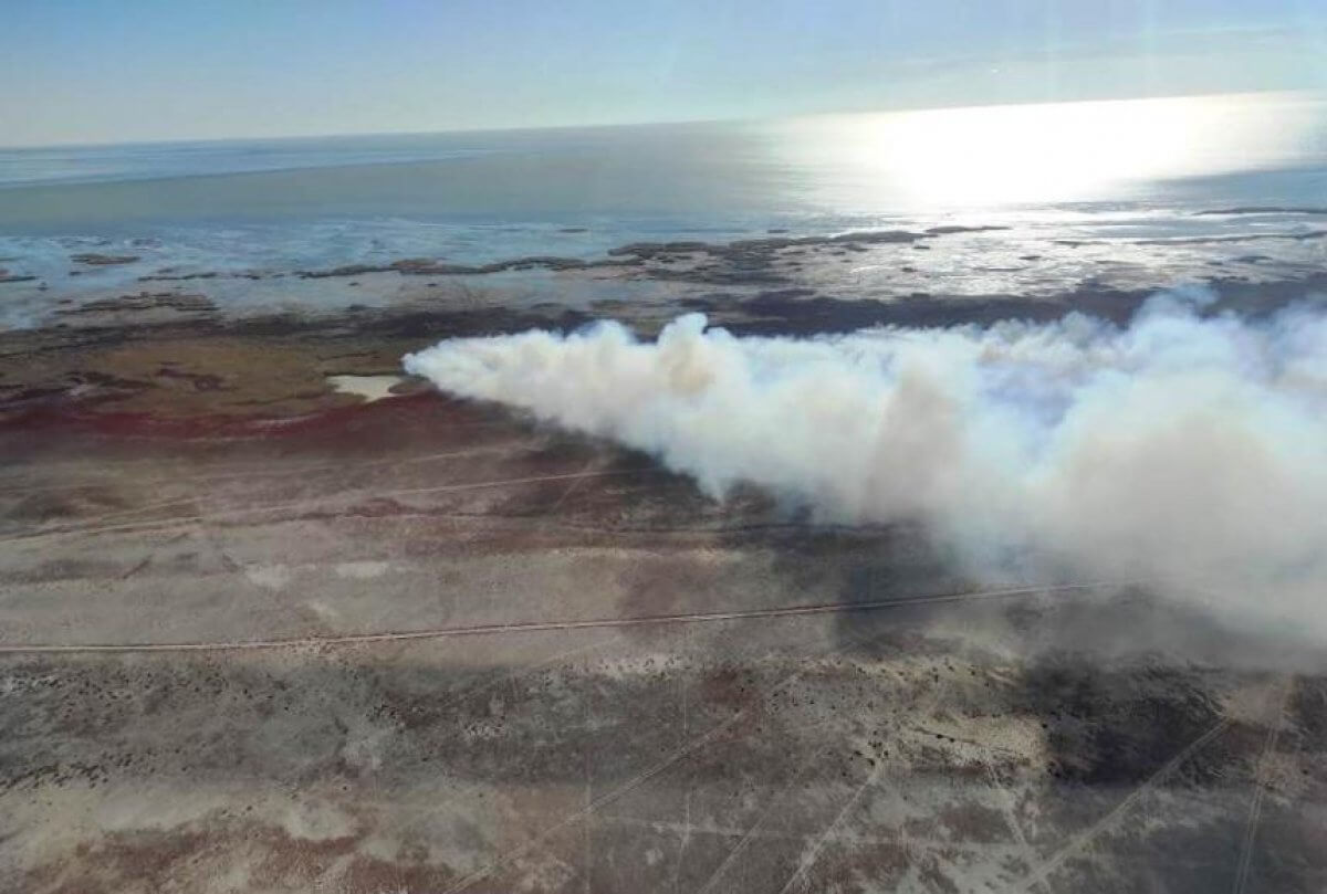 Камыш горит на побережье Каспийского моря близ Атырау