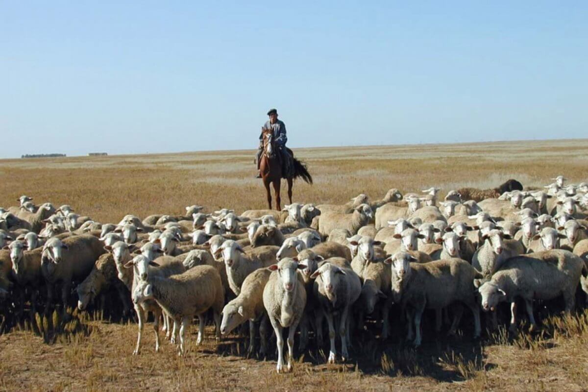 хозяйство в казахстане