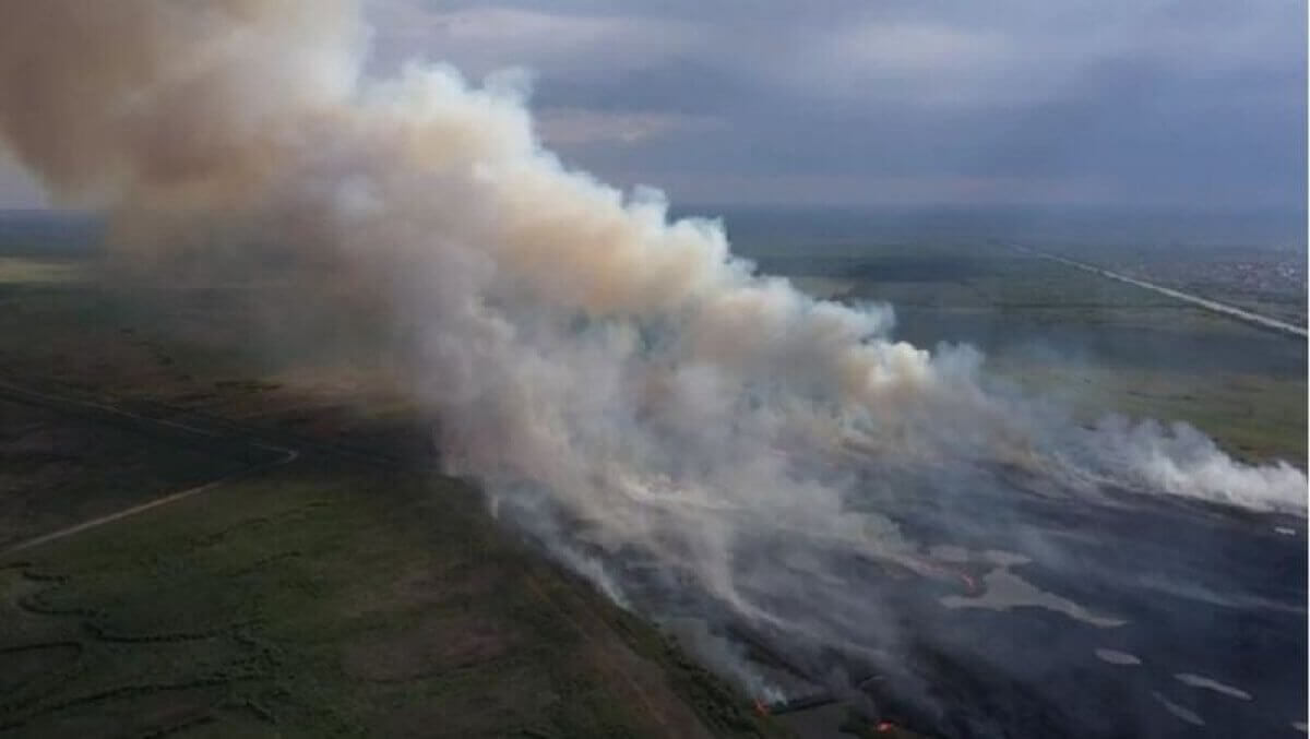 ДЧС: пожар на окраине Нур-Султана удалось только локализовать