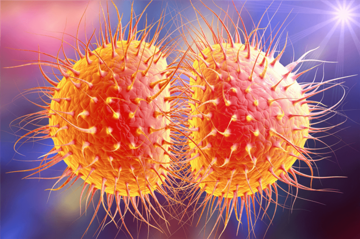 Неизлечимый вид гонореи обнаружили в Европе