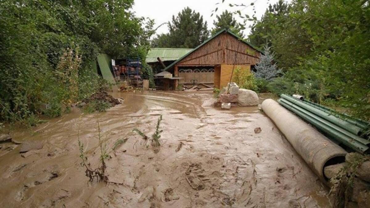 Поселок и дорогу на Кольсайские озера подтопило из-за обильных осадков