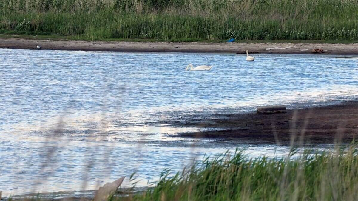 Малый Талдыколь: Минэкологии в заключении подстроилось под акимат