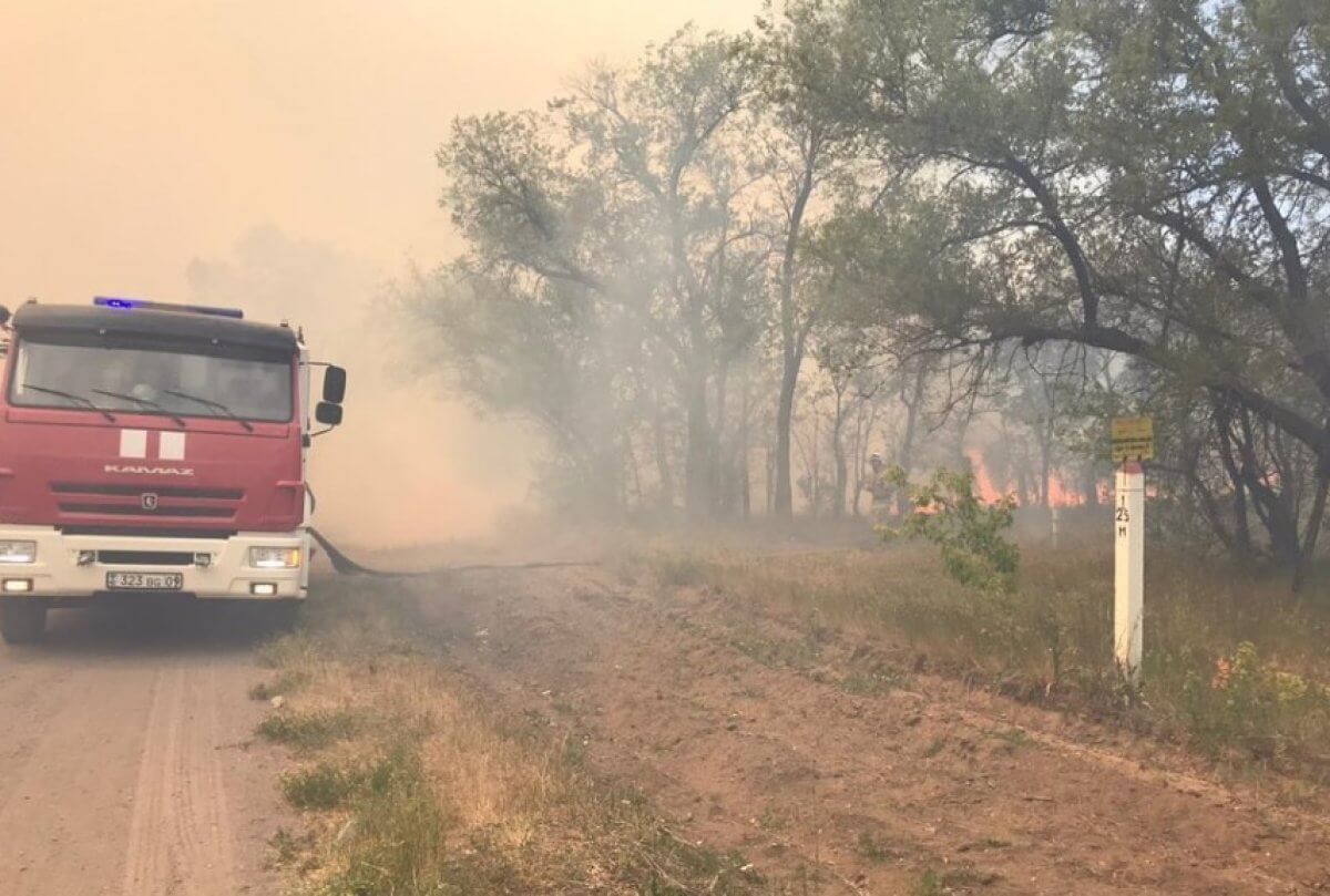 Порывистый ветер не дает потушить пожар в лесопосадке в Караганде