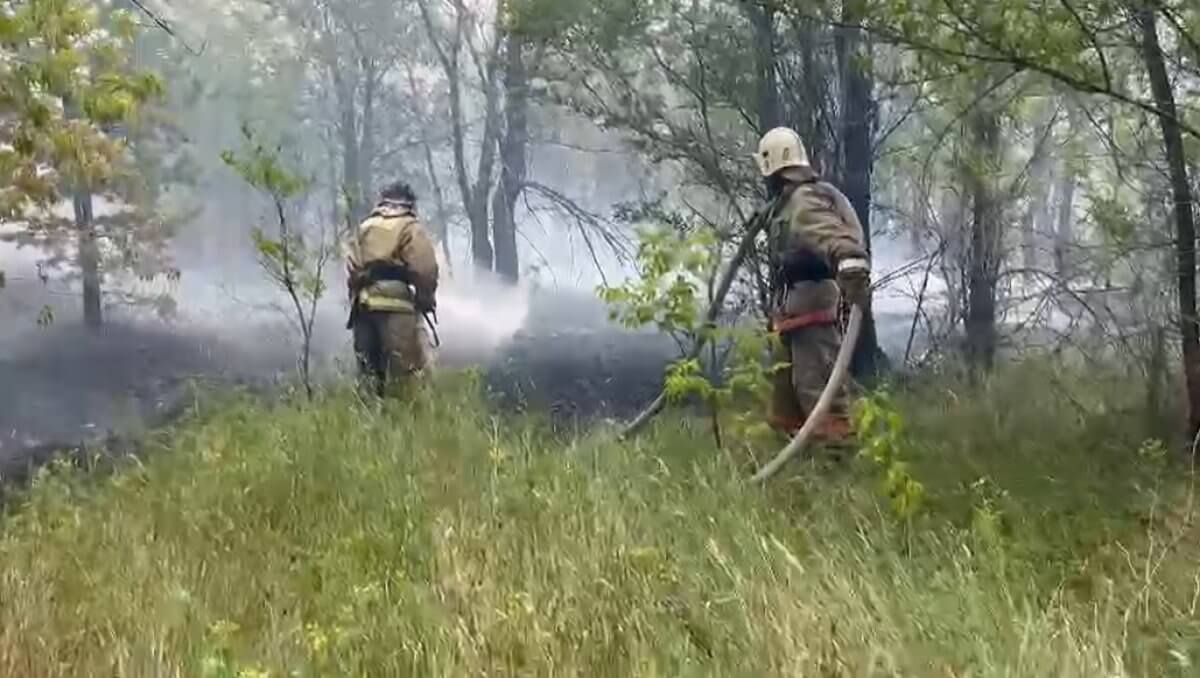 Вертолет отправлен на тушение пожара в лесопосадке в Караганде