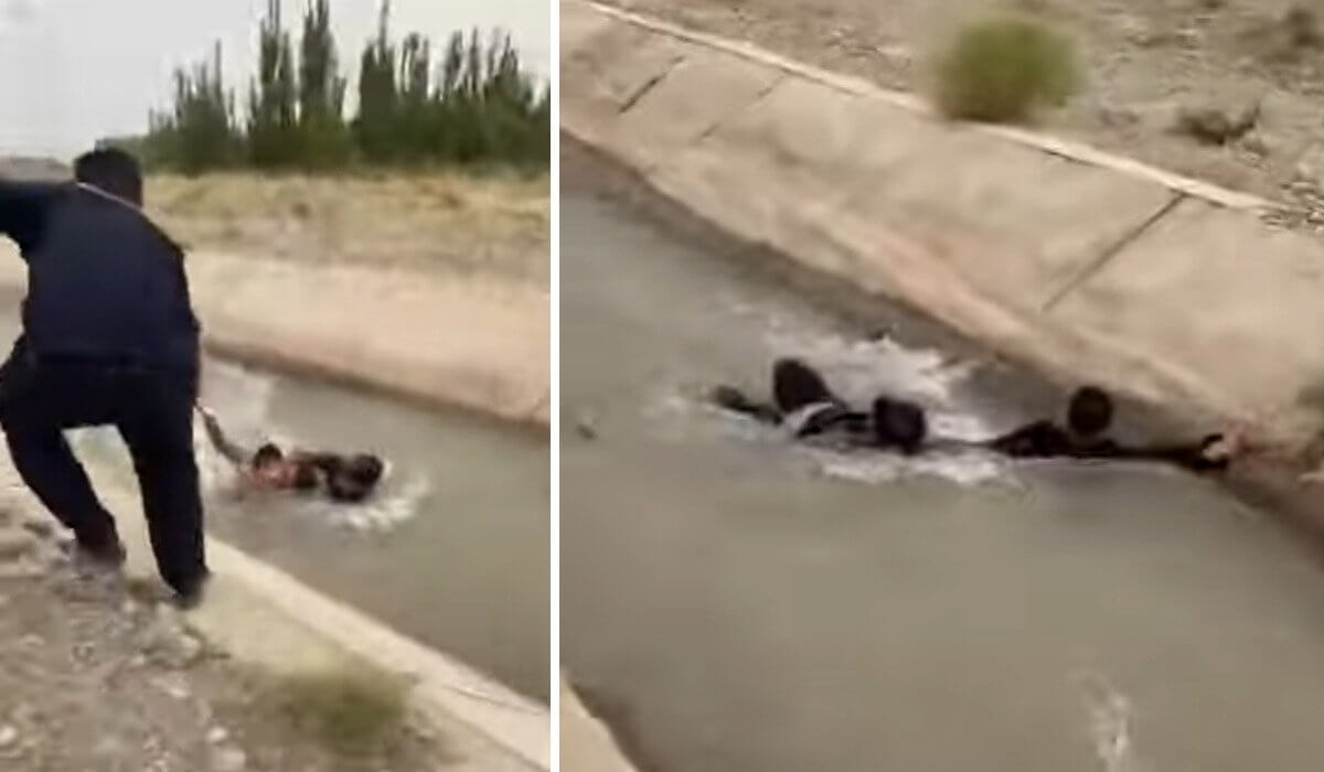 Двое мужчин спасли из воды ребенка, но выбраться сами не смогли