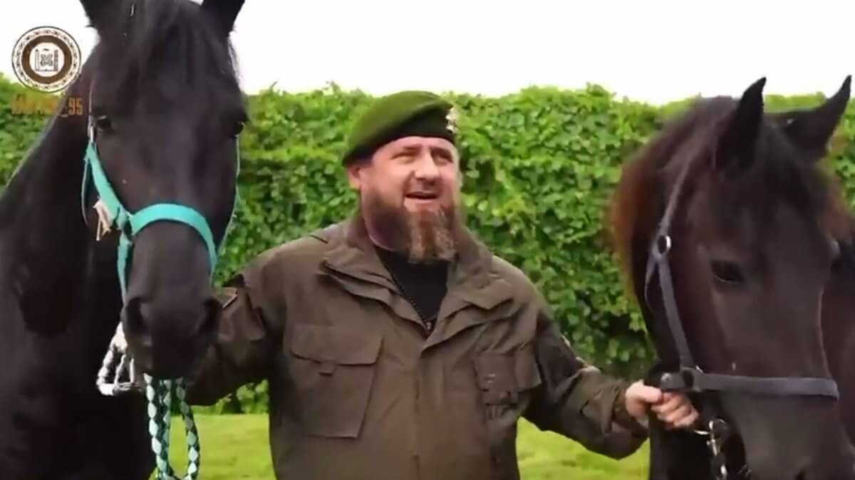 Кадырову подарили. Какого коня подарили Кадырову. Кадыров подарил коня мижиеву. Самая дорогая в мире лошадь Золотая подаренная Кадырову. Кадыров дарит цветы.