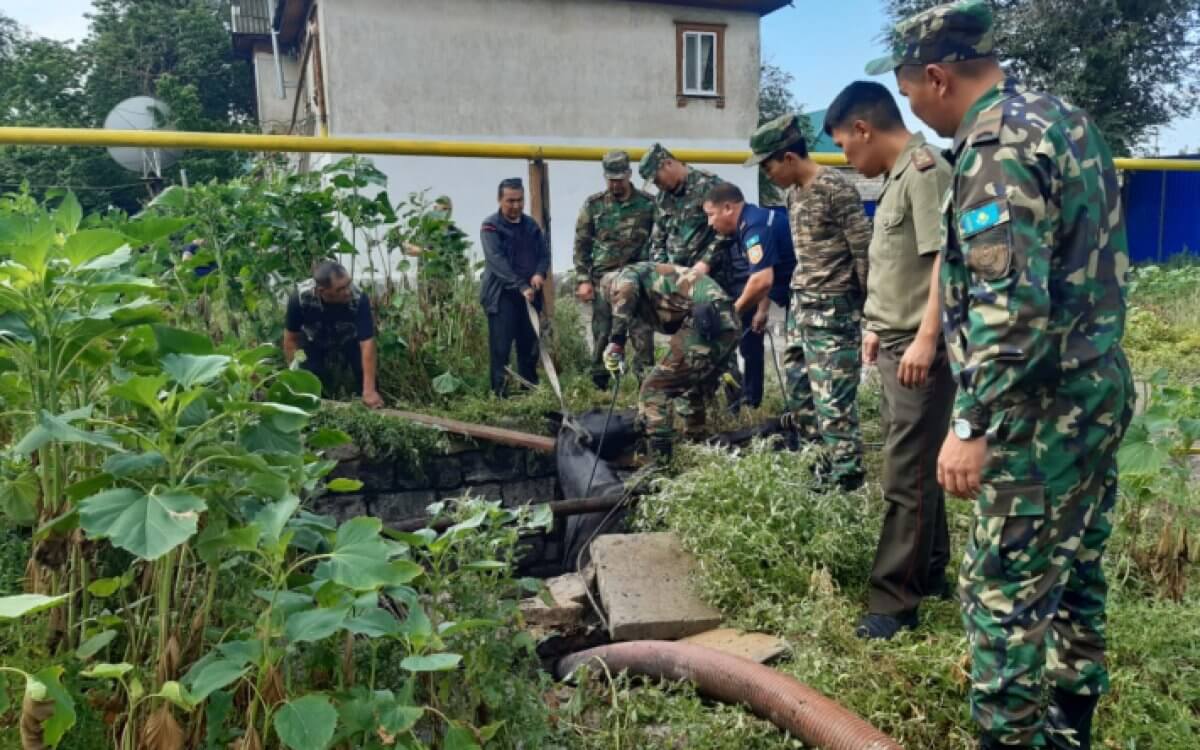 Лошадь провалилась в колодец в Актюбинской области