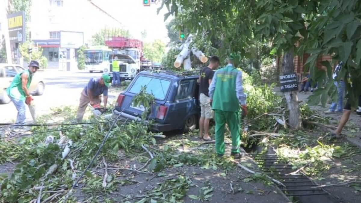 Упавшее дерево повредило два авто в Шымкенте