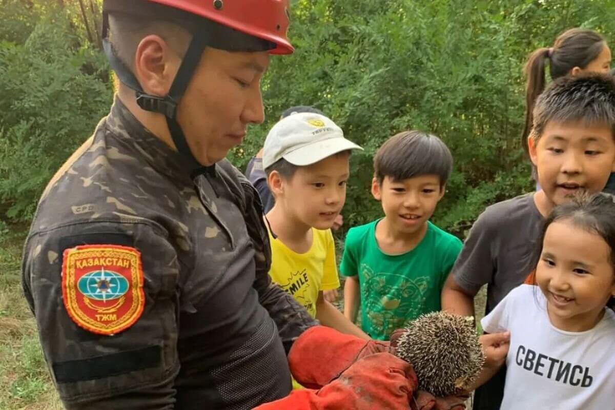 Дети в Усть-Каменогорске вызвали ДЧС для спасения застрявшего в трубе ежа