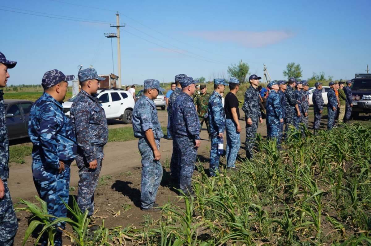 Пропажа пятилетней девочки в Костанайской области: расширяется зона поиска