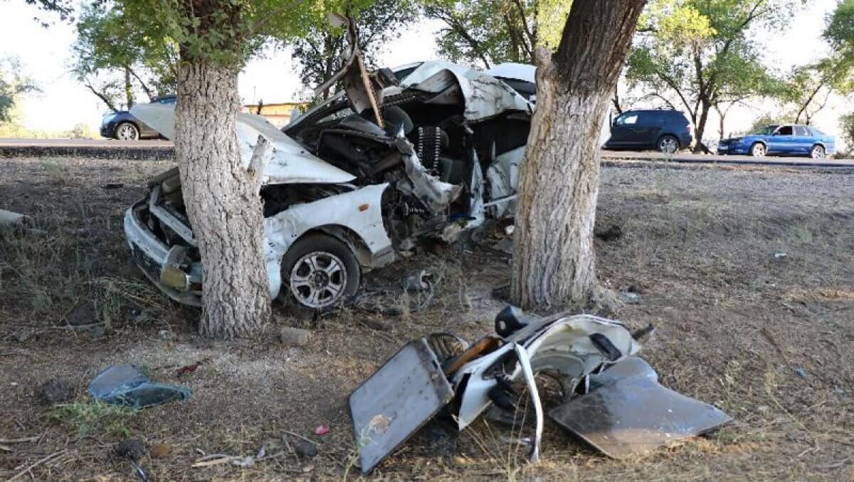 Водитель в Алматинской области погиб в ДТП, пытаясь не задавить собак