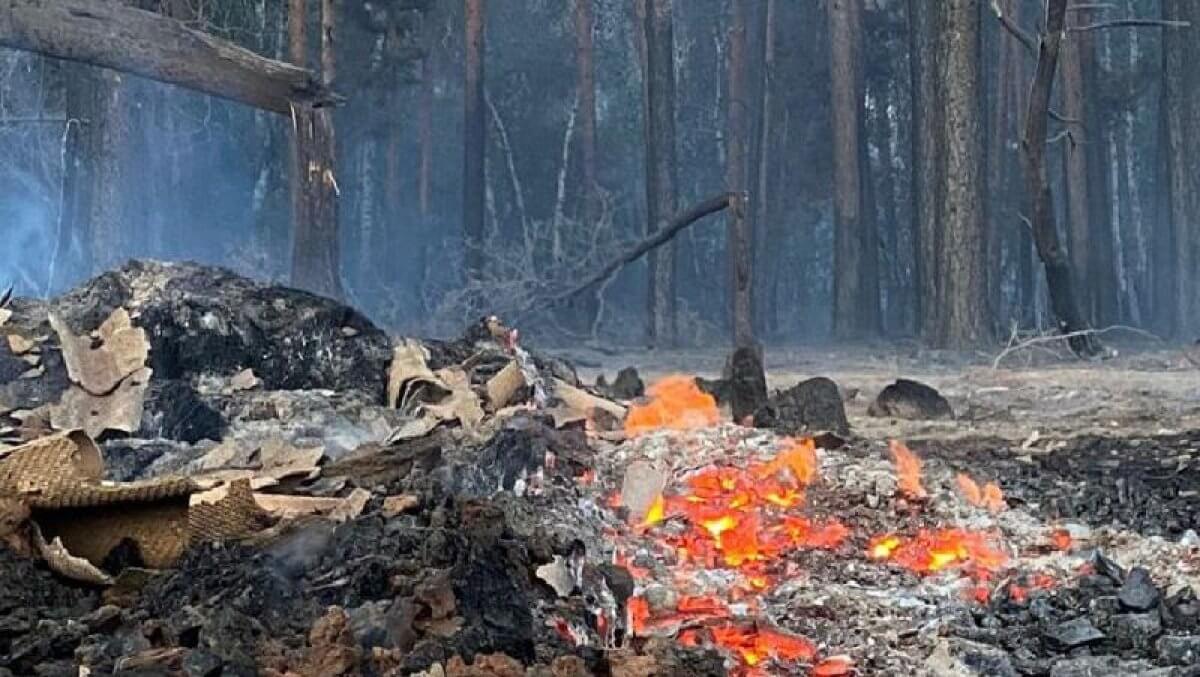 Генпрокуратура РК завела уголовные дела из-за пожаров в Костанайской области