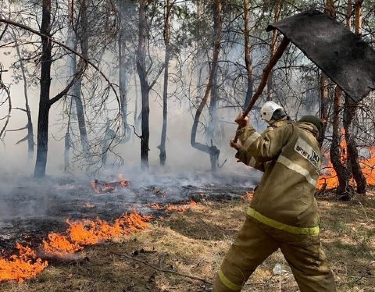 В пожарах в Костанайской области пострадали 11 человек и 91 жилой дом, один  человек погиб