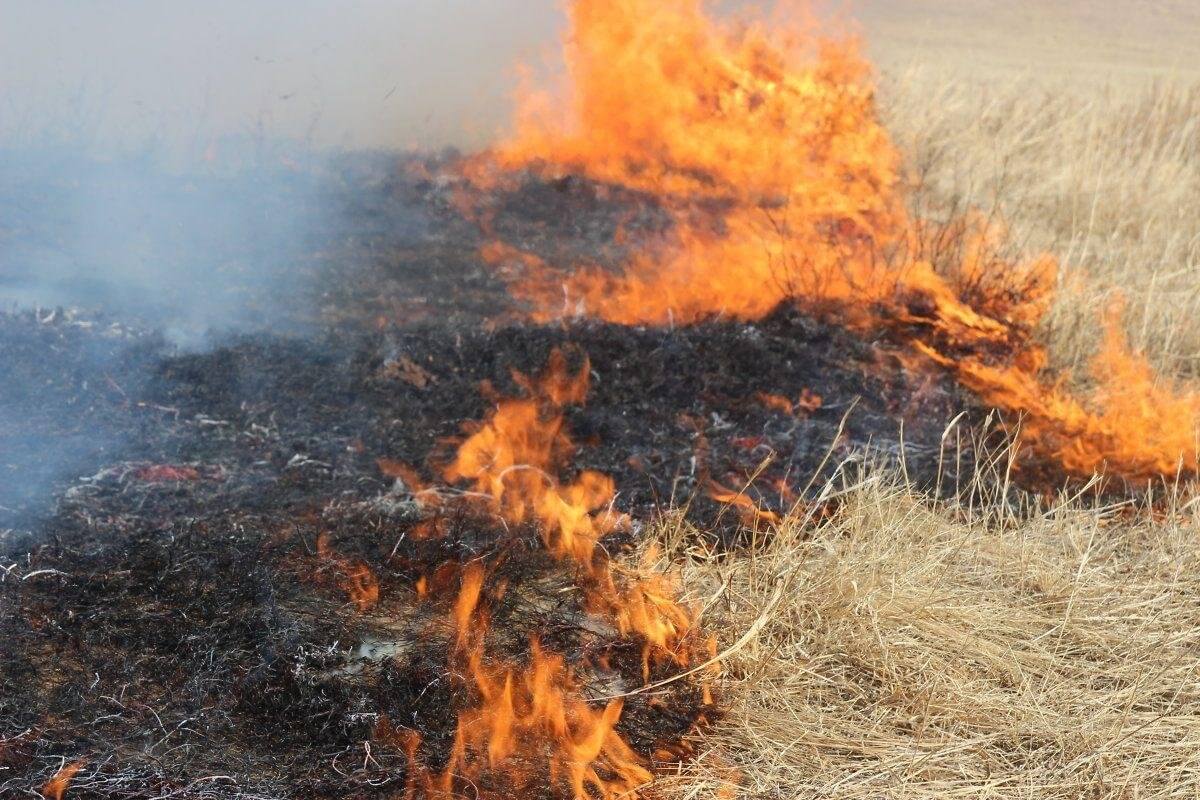 Задержанный «поджигатель» является сотрудником пожарной части – МЧС