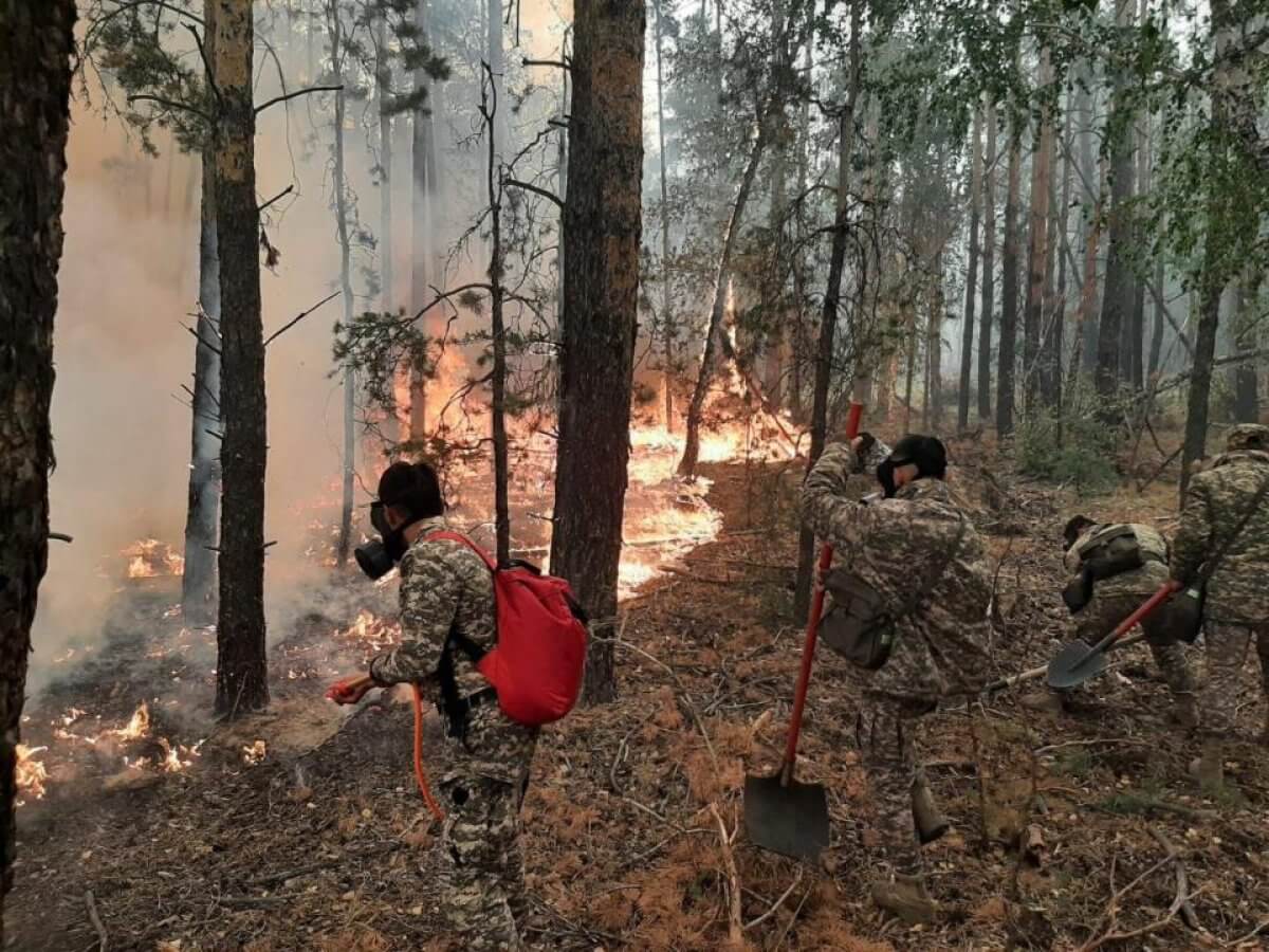 Крупные пожары окончательно потушили в Костанайской области