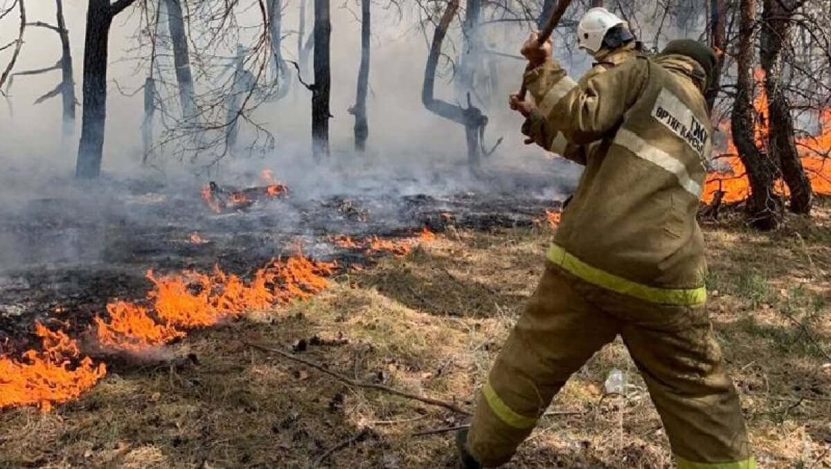 Лесные пожары в Костанайской области: в прокуратуре исключили признаки диверсии