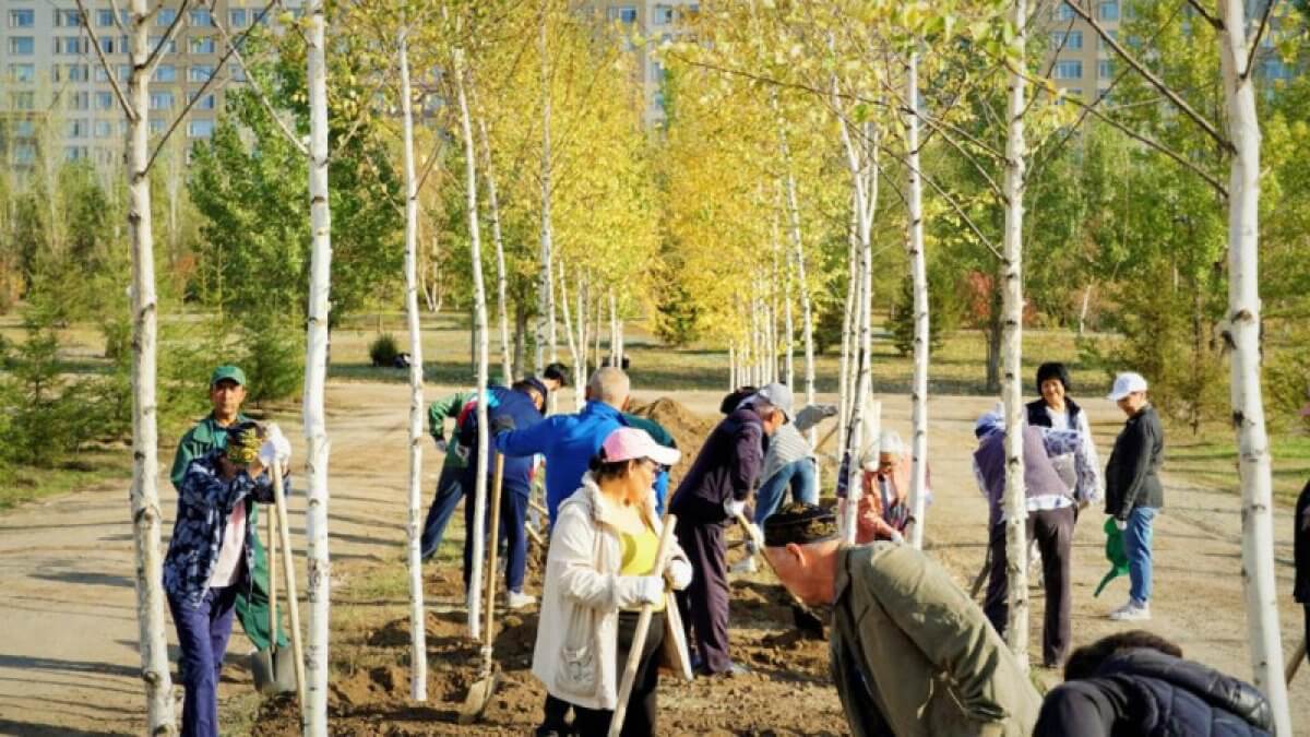 Березовая роща появилась в Президентском парке в Астане