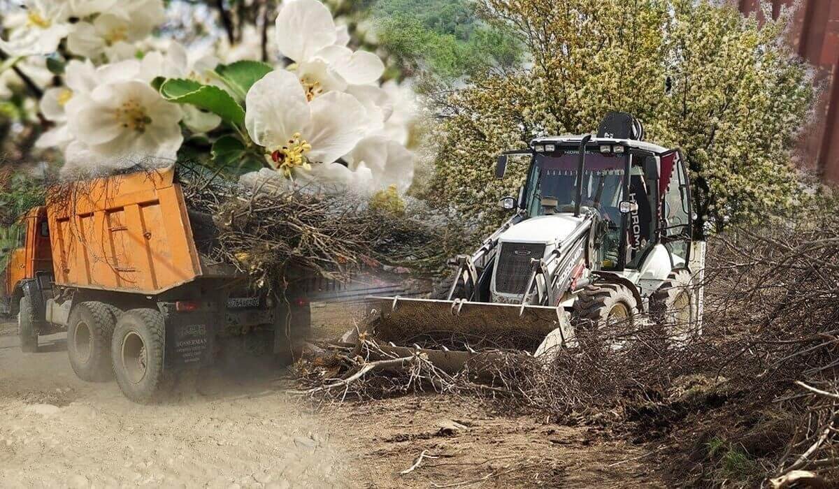 Незаконное строительство и вырубку яблоневых садов на Каменском плато прокомментировал Досаев