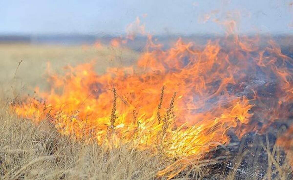 Охотник из Караганды сгорел в степном пожаре