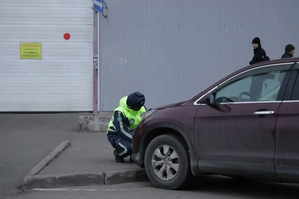 В Алматинской области всадники устроили кокпар на дороге и помяли авто  (ВИДЕО)