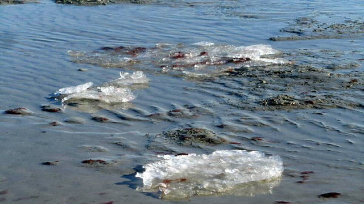 Наступили морозы: Каспий покрылся льдом в Актау (ФОТО)