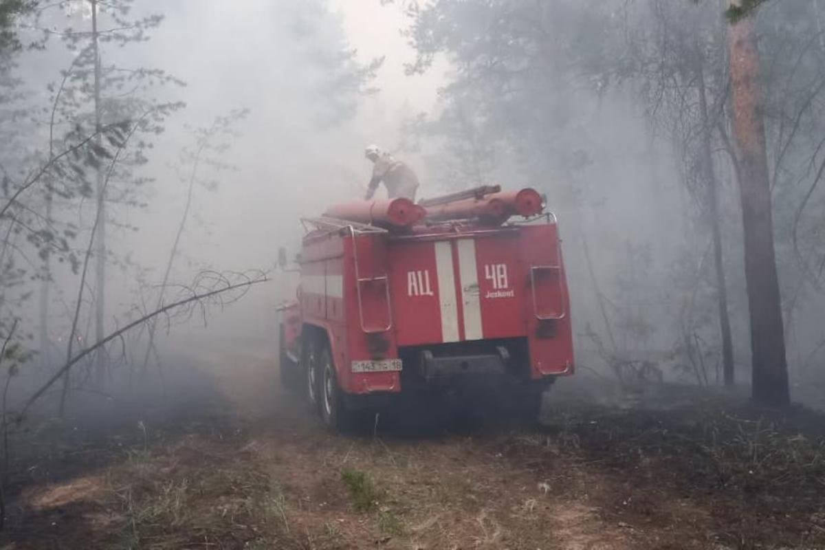 Опубликованы фото погибших в лесном пожаре в области Абай