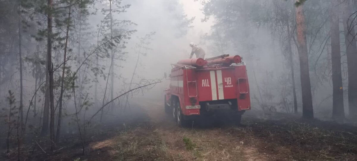 Сырым Шарипханов: пожар в области Абай может еще увеличиться