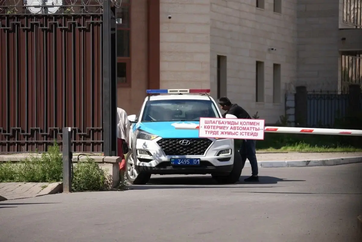 Водитель сбил лошадь и погиб в ЗКО