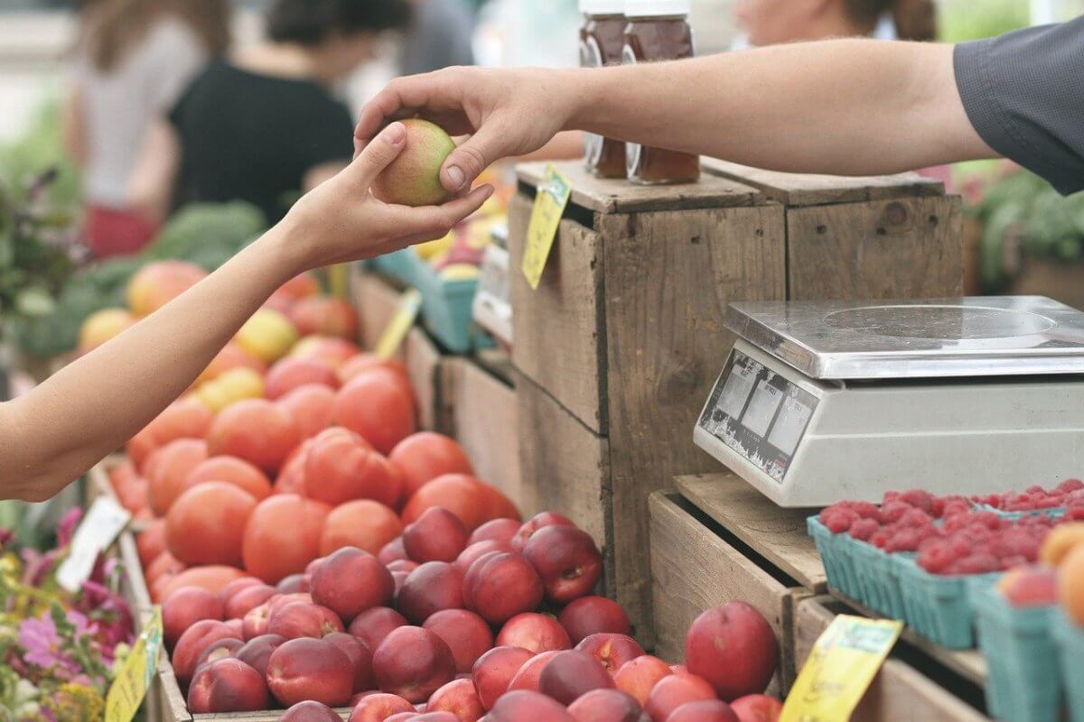 Почему в Казахстане много импортных продуктов питания, рассказали в МСХ