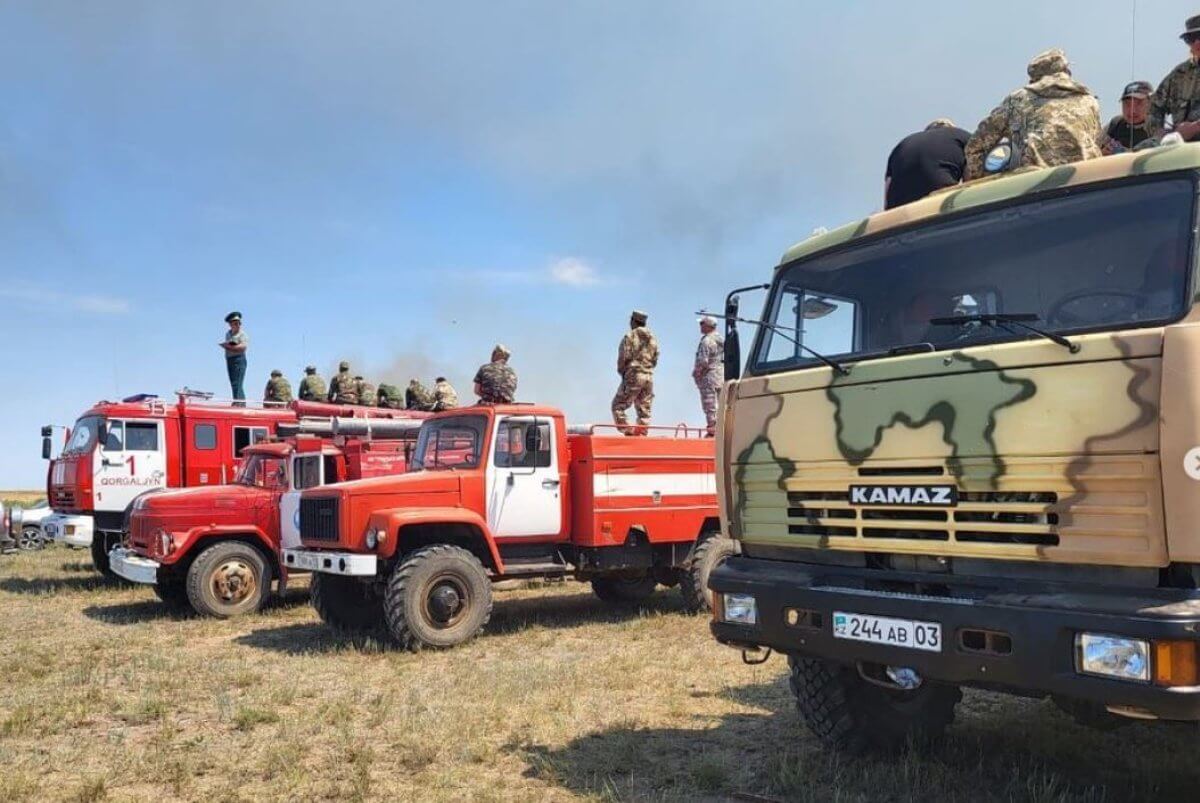 Пожар в Коргалжынском заповеднике локализован