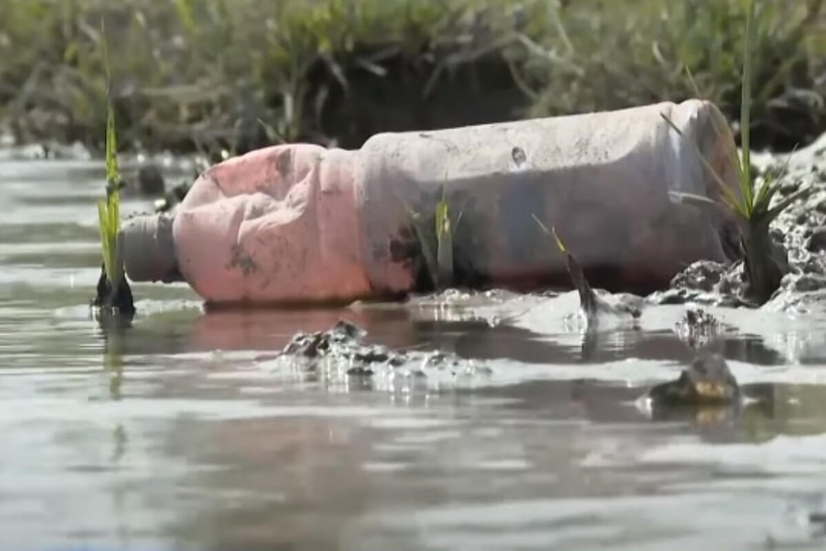 Бани загрязняют сточной водой пастбища в Туркестанской области (ВИДЕО)