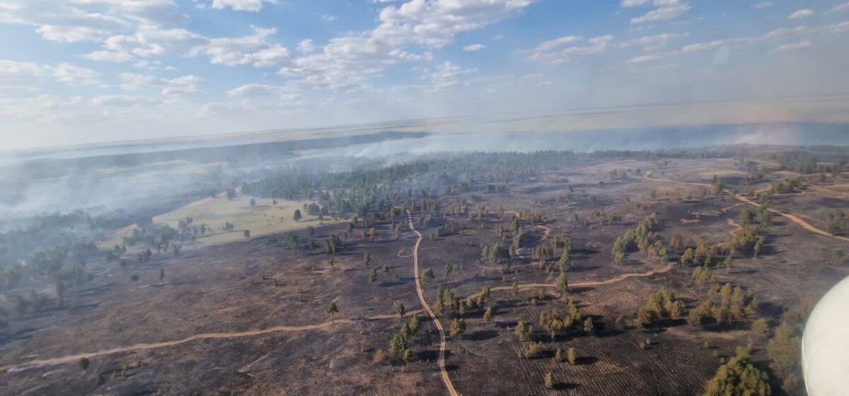 11 дней тушили лесной пожар в области Абай