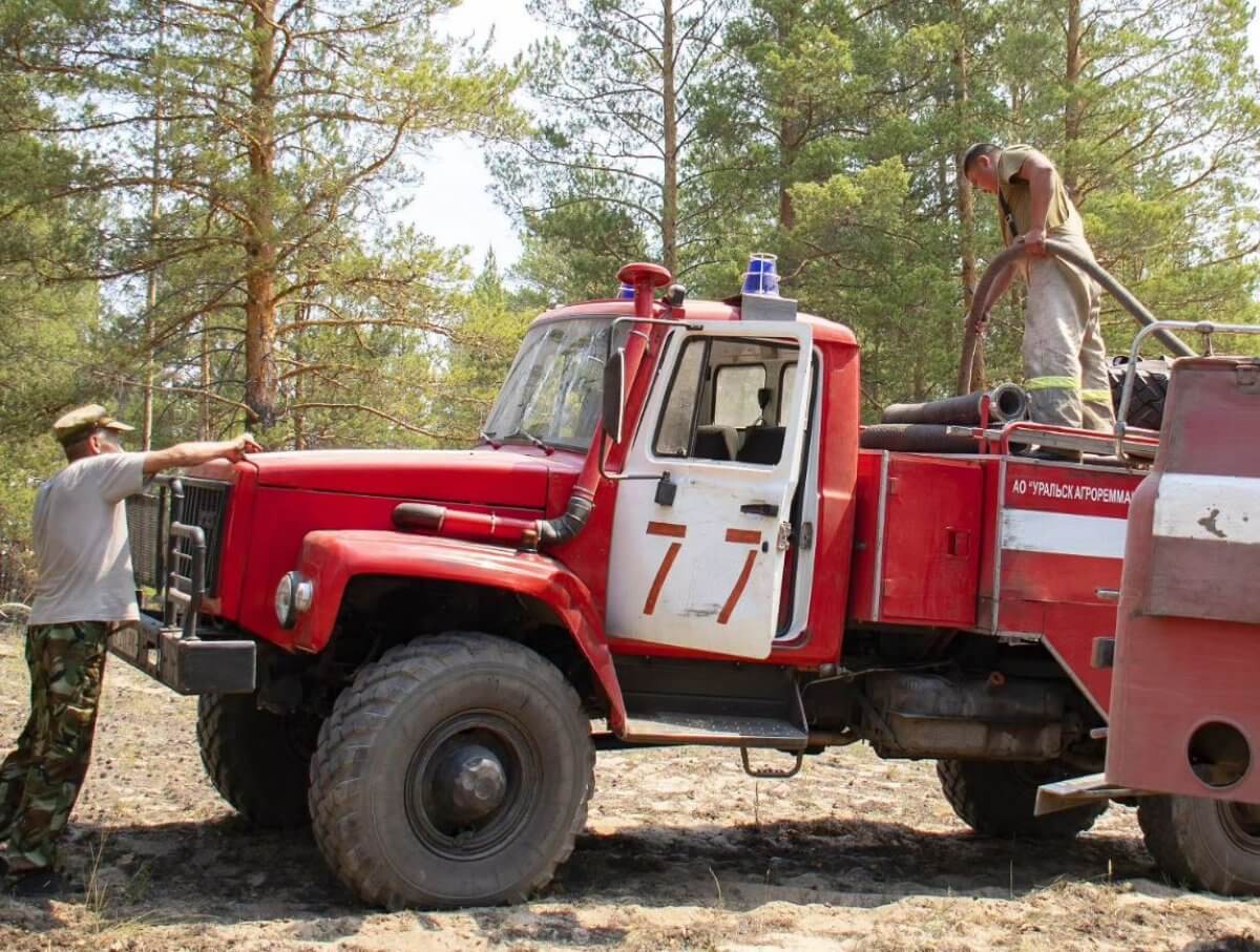 В Абайской области снова горит лес сразу в нескольких местах