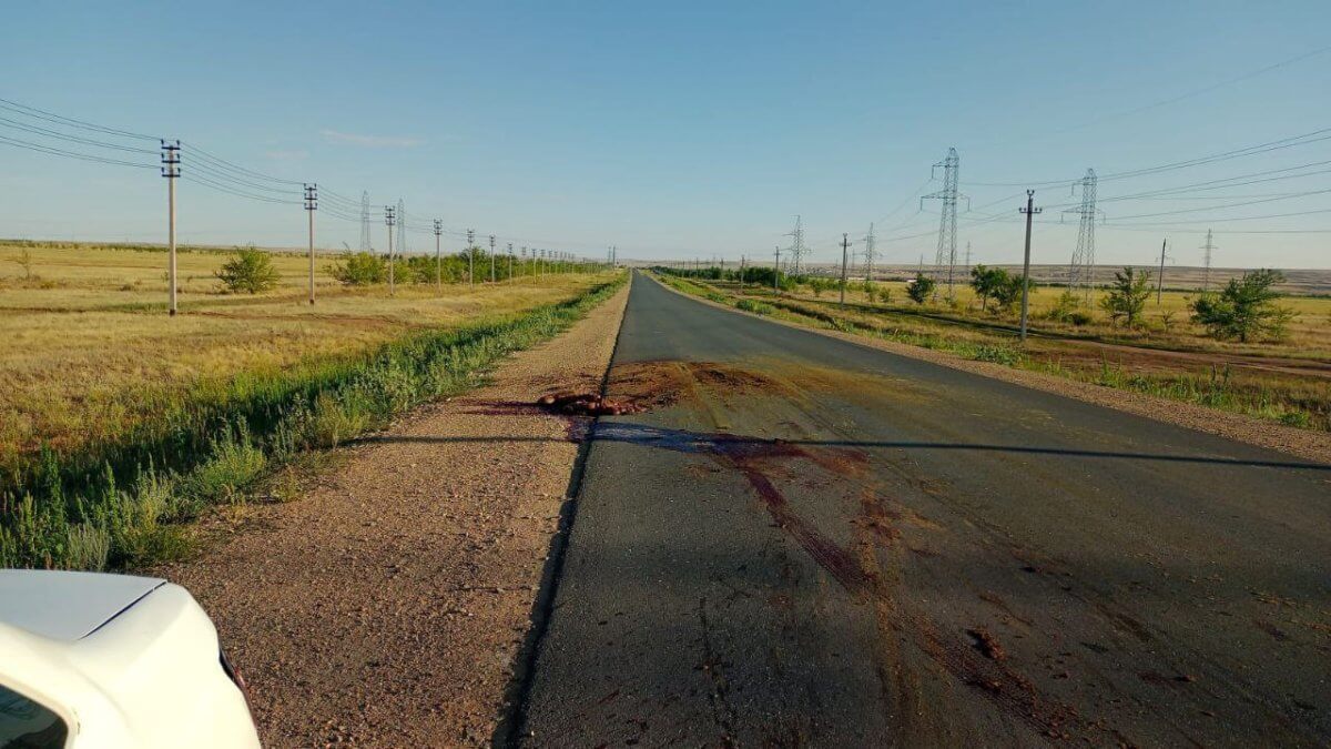 Мужчина погиб, пытаясь помочь водителю после ДТП в Актобе