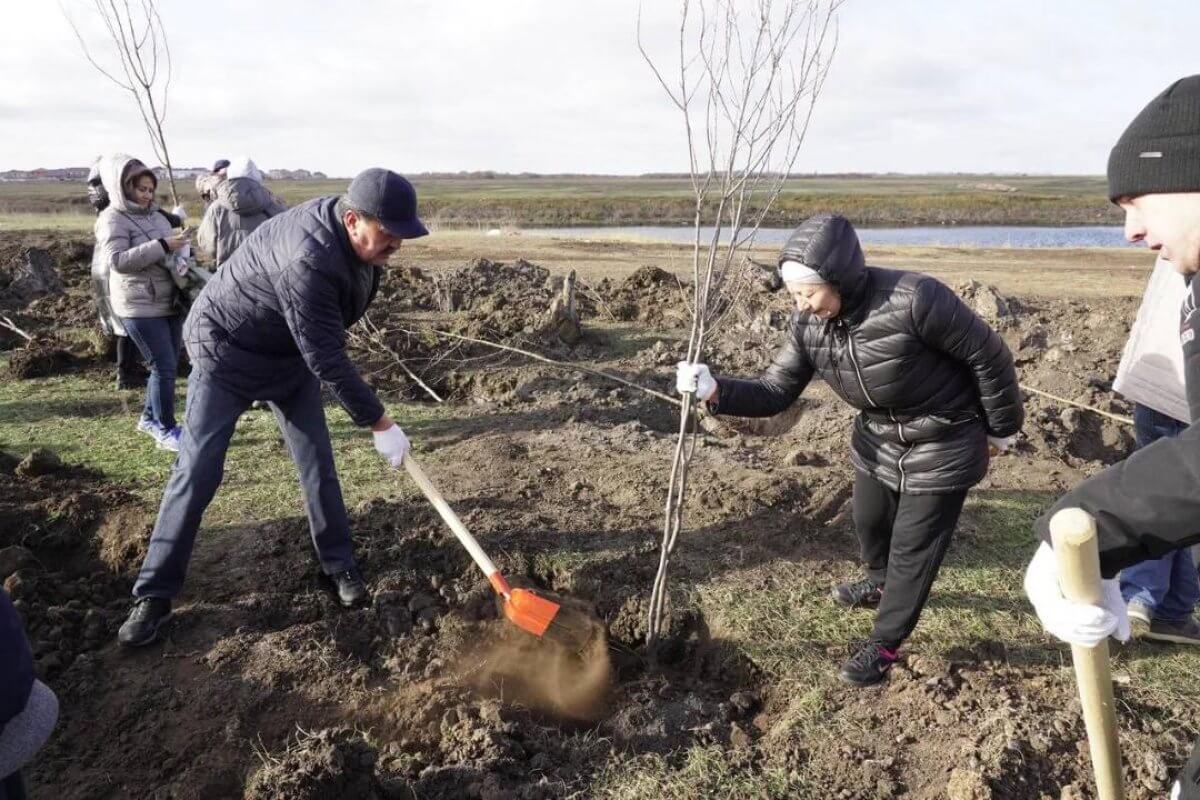 40 тысяч молодых деревьев высадили в Казахстане за один день