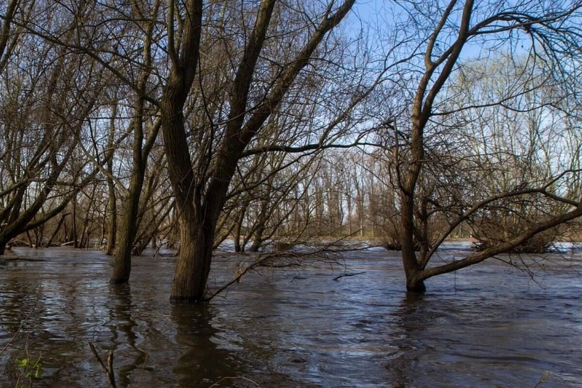 Отрог антициклона повлияет на погоду большей части Казахстана 5 апреля