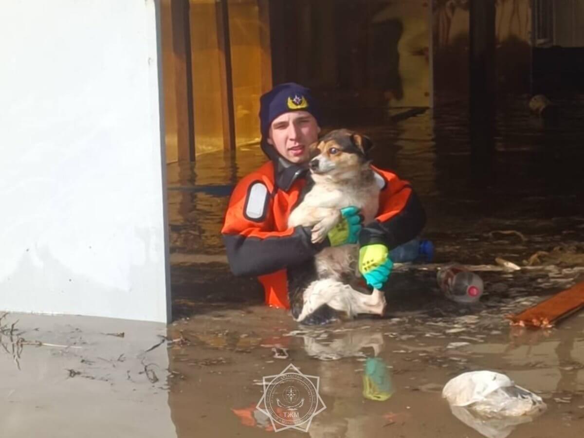 В Казахстане сооружают каналы для отвода паводков в Каспий