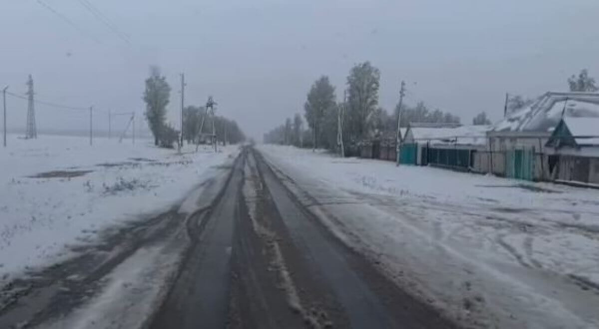 Снег выпал на цветущие деревья в Жамбылской области (ВИДЕО)