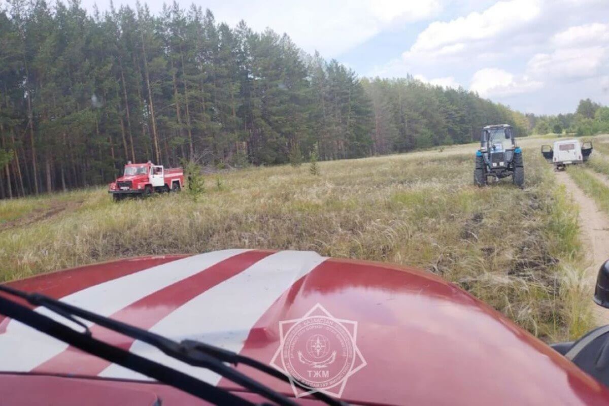 Тракториста наказали за пожар в лесной зоне «Семей орманы»