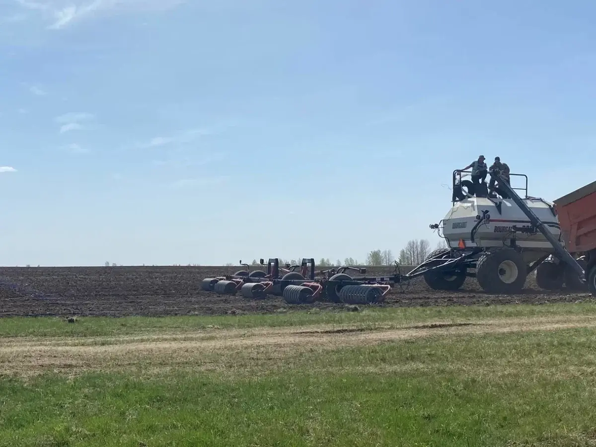 В Казахстане началось страхование посевов от засухи