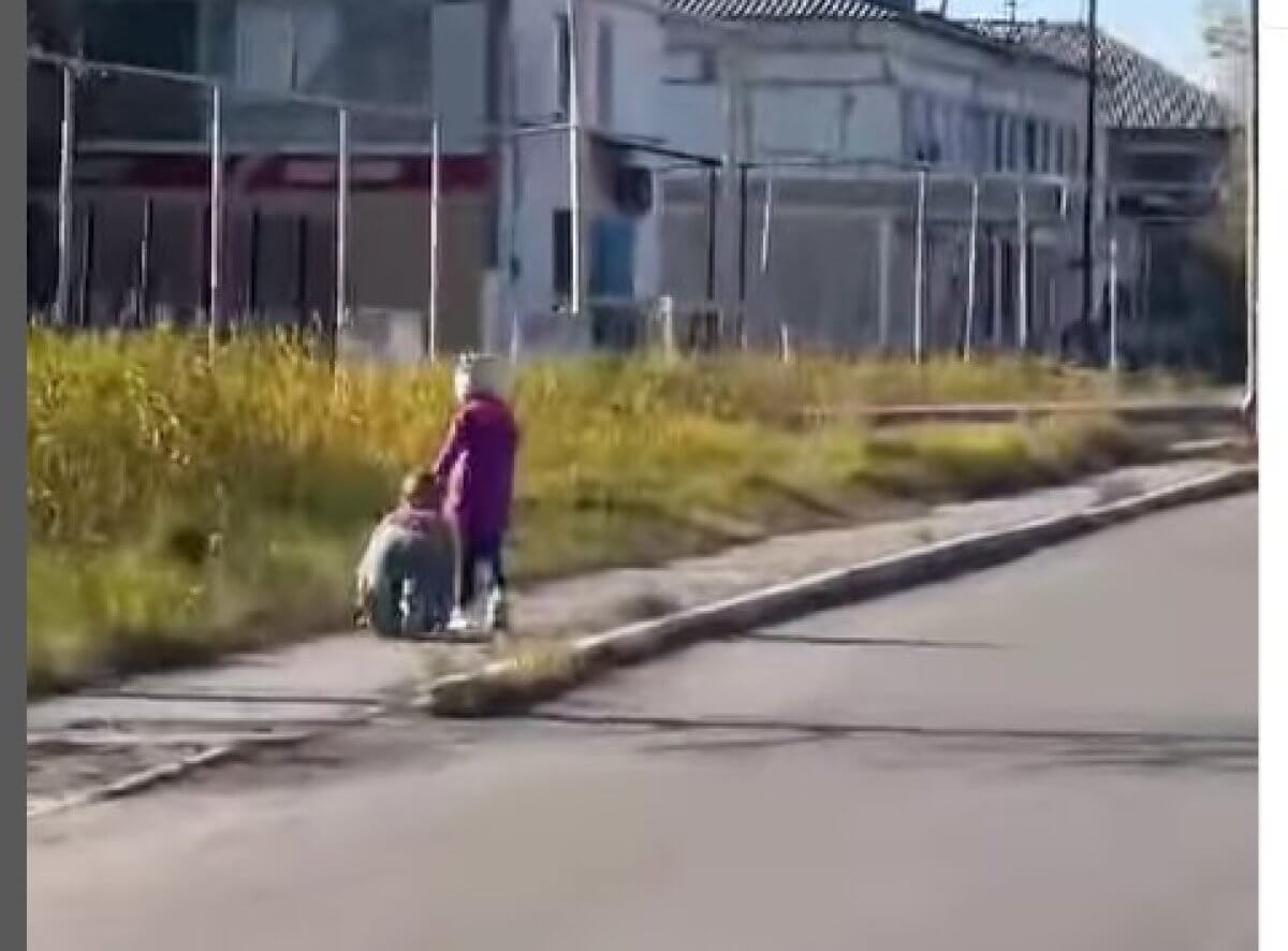 Человек на поводке: странное видео обсуждают в Костанайской области